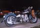 Harley Davidson