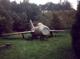 Mig 15
